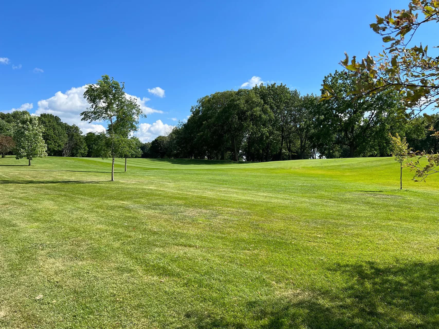 Fairway and trees at Whitnall Park Golf Course, Franklin, Wisconsin (photographed 1 August 2022).