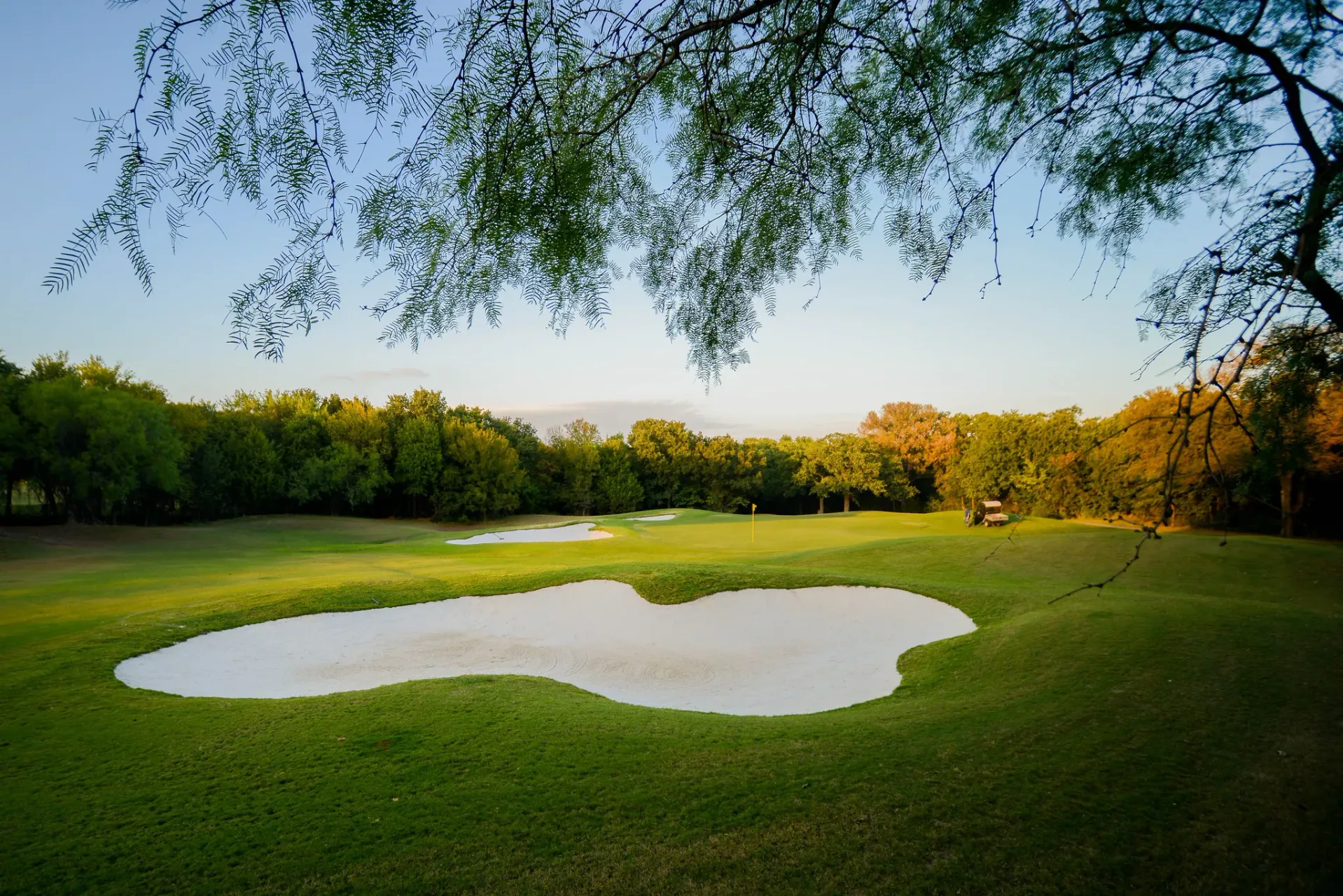 Course photo for Tierra Verde Golf Club